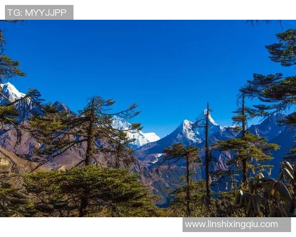 尼泊尔足球球星崛起之路：从贫困小镇到国际赛场的梦想旅程